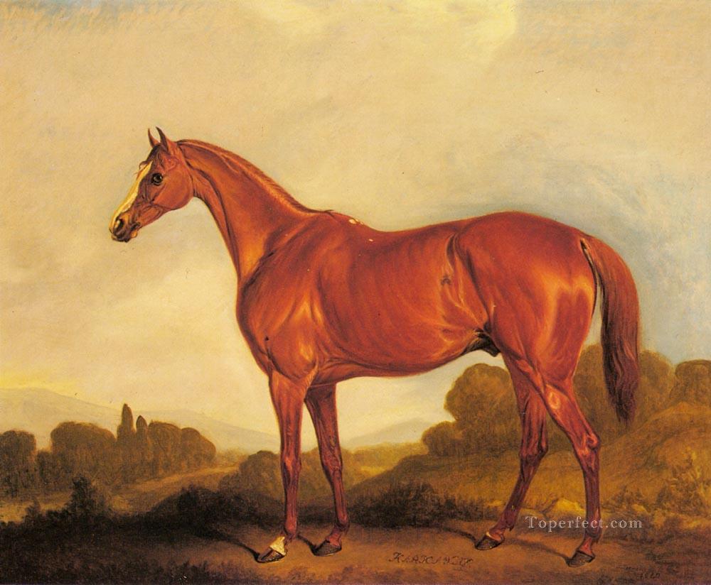Un portrait du cheval de course Harkaway John Ferneley Snr Peintures à l'huile